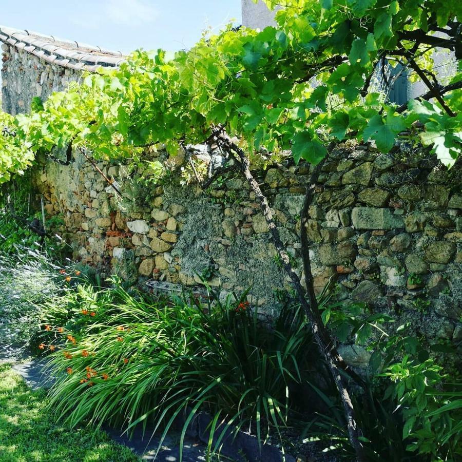 Gite Maison De L'Abbe Sorèze Εξωτερικό φωτογραφία